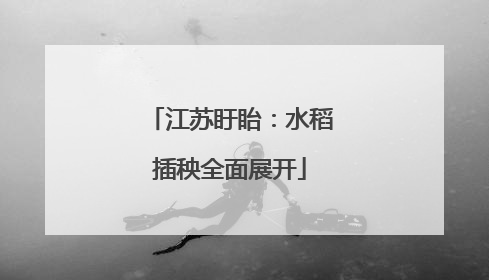 江苏盱眙：水稻插秧全面展开